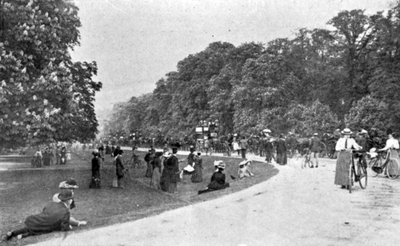 General View of Bushey Park by English Photographer